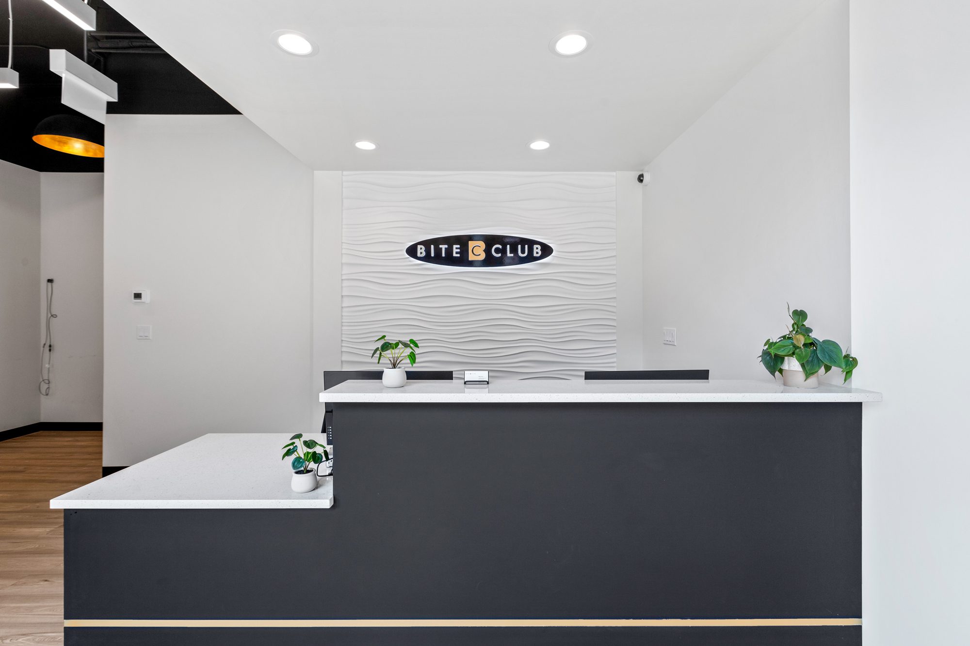 Chicago Bucktown Dentist Services
